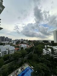 Nathan Suites (D10), Condominium #549345521